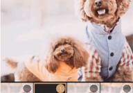 绿洲怎么发布动态?绿洲发布动态教程