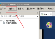 VMware Workstation怎么设置托盘图标？VMware Workstation设置托盘图标教程