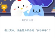 在火灾中，谁是最为致命的“头号杀手”?支付宝蚂蚁庄园11月9日答案