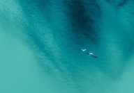 百度网盘怎么查看黑名单?百度网盘查看黑名单方法