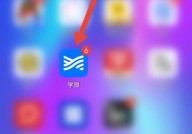 学浪怎么查看侵权投诉指引？学浪查看侵权投诉指引方法