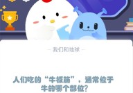 人们吃的“牛板筋”，通常位于牛的哪个部位?支付宝蚂蚁庄园12月5日答案