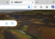 microsoft edge垂直标签栏怎么返回?microsoft edge垂直标签栏返回教程